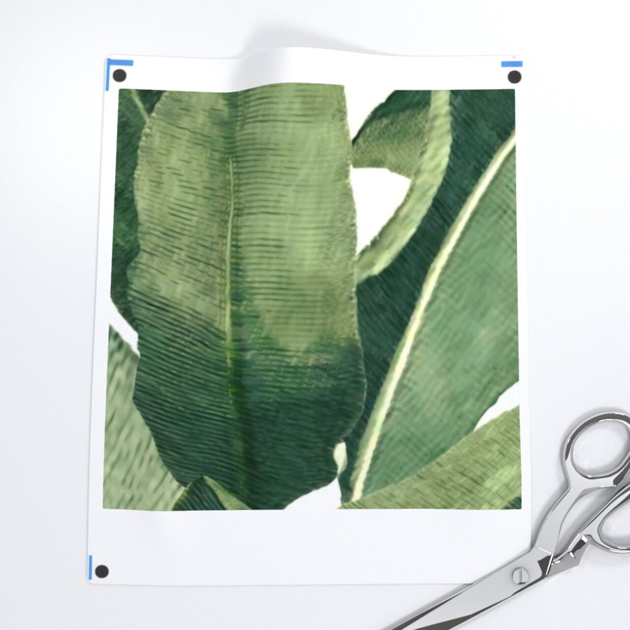 Banana Leaf Large Scale Tropical Vintage Inspired Jungle Rainforest Palm Leaves Custom Removable Wallpaper by Spoonflower Peel & Stick Wallpaper 2FT Wide